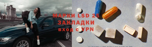 прущие грибы Кулебаки