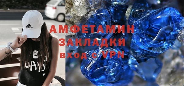 прущие грибы Кулебаки