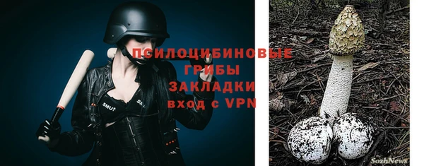 гашик Лагань