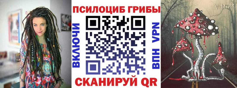 Галлюциногенные грибы Psilocybe Кяхта